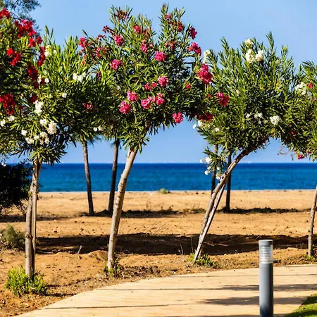 Relaxing Beachfront * Vokolidha