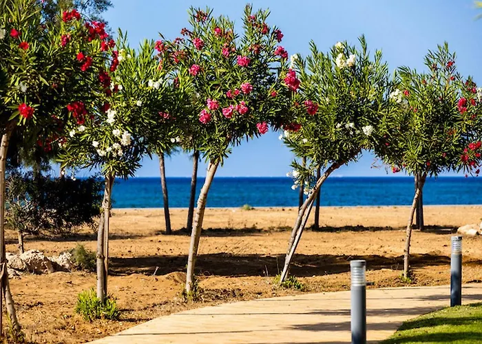 Relaxing Beachfront * Vokolidha
